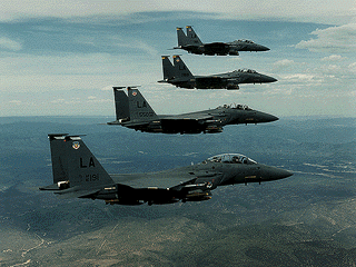 F15b.gif (48299 bytes)